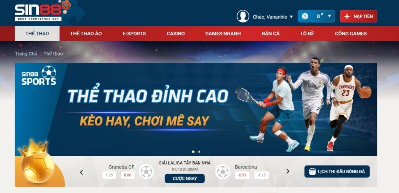 Tổng hợp link vào bóng nhà cái mới nhất hôm nay cho mọi người