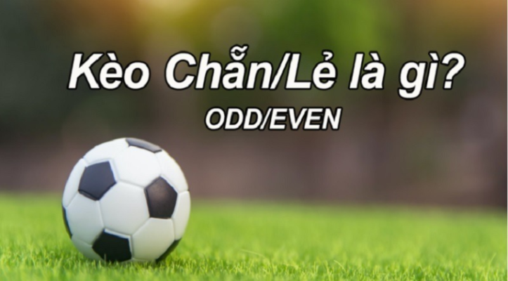 Cược chẵn lẻ là gì? Chia sẻ mẹo chơi kèo chẵn lẻ và kinh nghiệm cá cược bóng đá hay nhất