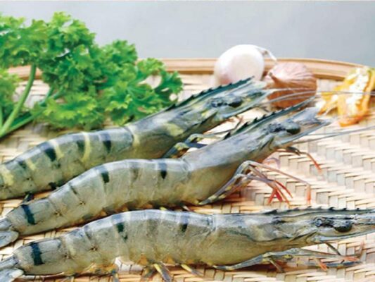 Giãi mã giấc mơ cho anh em khi nằm mơ thấy tôm