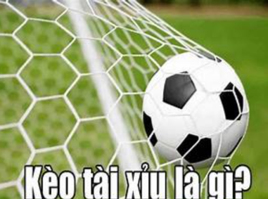 Mẹo chơi kèo tài xỉu chuẩn nhất từ các cao thủ