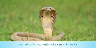 Luận giải chi tiết giấc mơ thấy rắn cho anh em cần