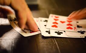 Thuật ngữ cơ bản trong game bài phỏm Sin88